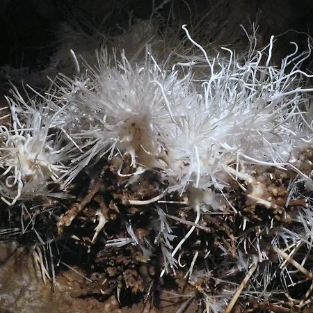 Hotell Boutique Empress 4*