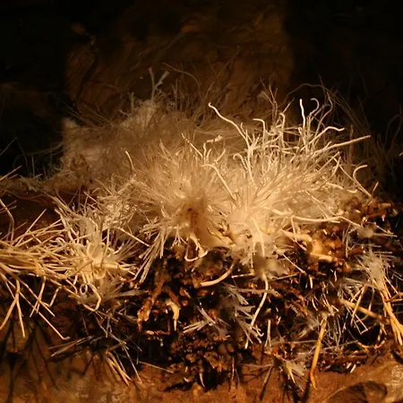 Boutique Empress Hotell Rožňava